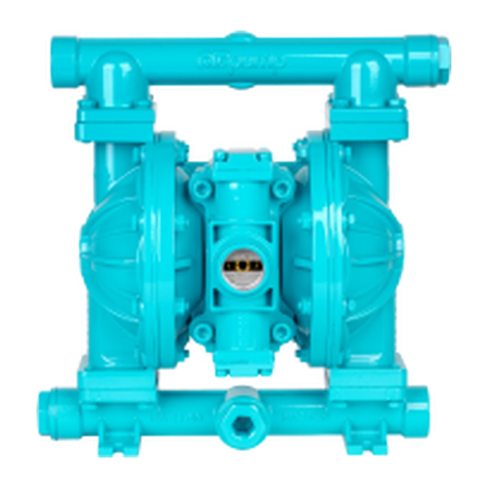DIAPUMP DP10 SS-T METALİK DİYAFRAMLI POMPA