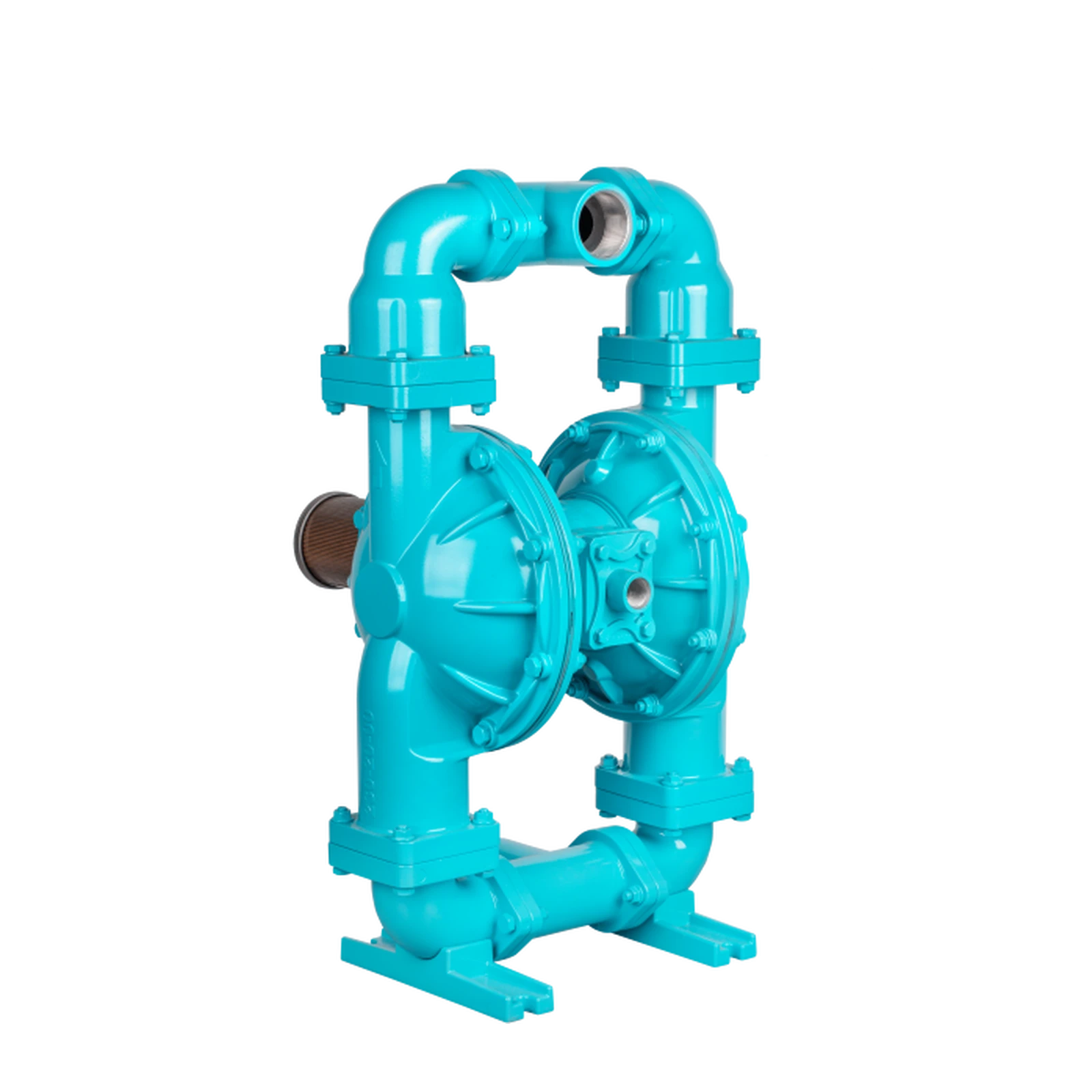 DIAPUMP DP20 SS-T PLUS SERİSİ DİYAFRAMLI POMPA