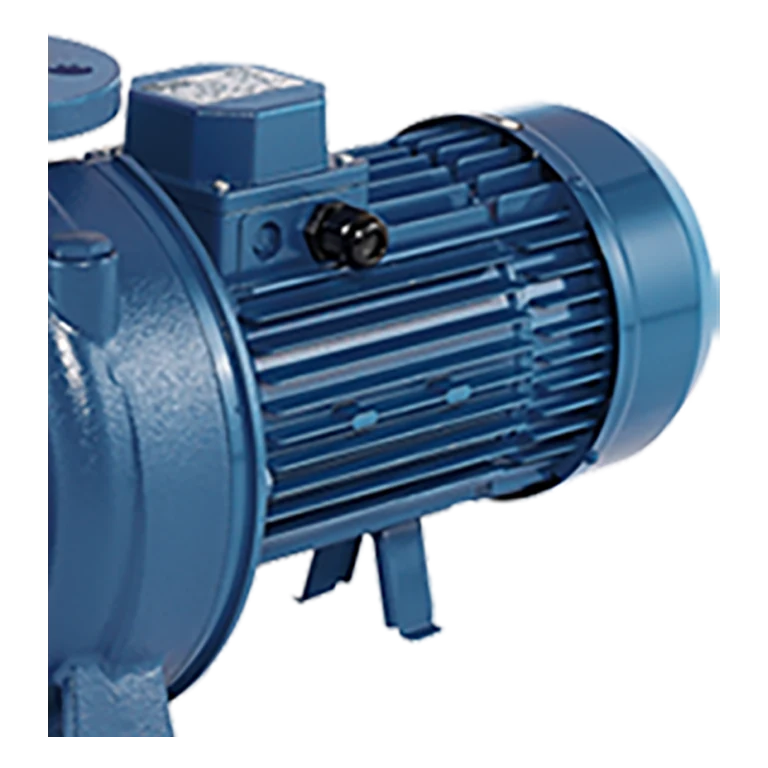 EBARA 3D/M 65-160/11 IE3 DÖKÜM GÖVDELİ YATAY MONOBLOK SANTRİFÜJ POMPA
