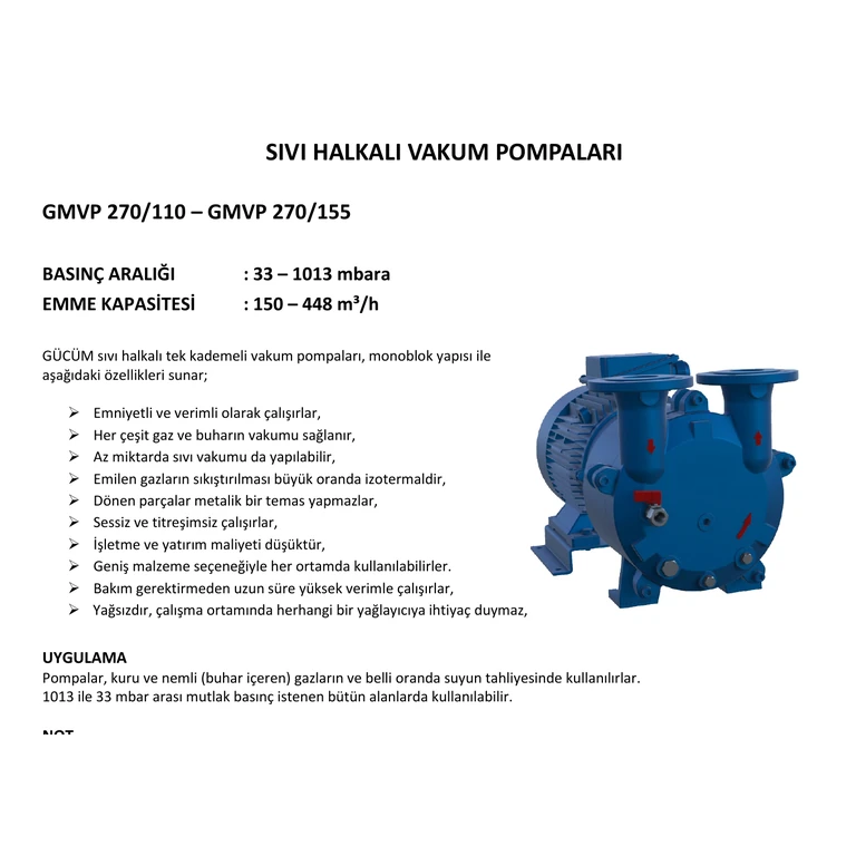 GÜCÜM GMVP 270/110 7,5 kW Tek Kademeli Sıvı Halkalı Monoblok Vakum Pompası