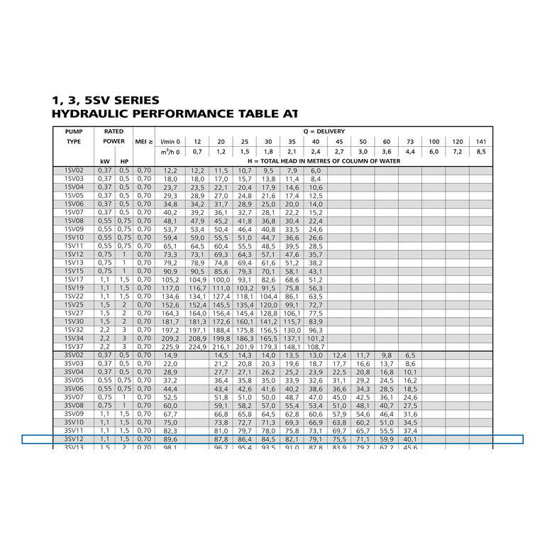 LOWARA 3SV12F011T/D 1,1 kW AISI304 PN25 Flanşlı Dikey Çok Kademeli Santrifüj Pompa