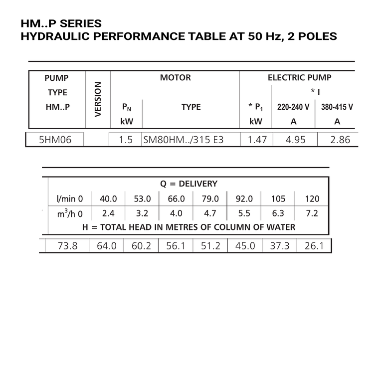 LOWARA 5HM06P15T5RVBE 1,5 kW AISI304 GÖVDELİ TEKNOPOLİMER ÇARKLI YATAY ÇOK KADEMELİ SANTRİFÜJ POMPA