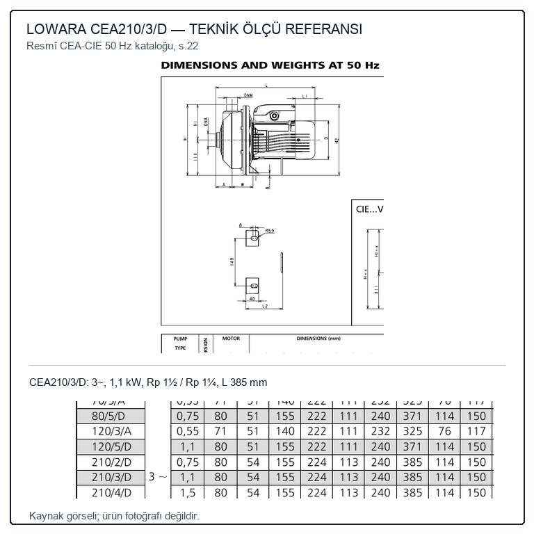 LOWARA CEA210/3/D Üç Fazlı AISI 304 Tek Çarklı Santrifüj Pompa