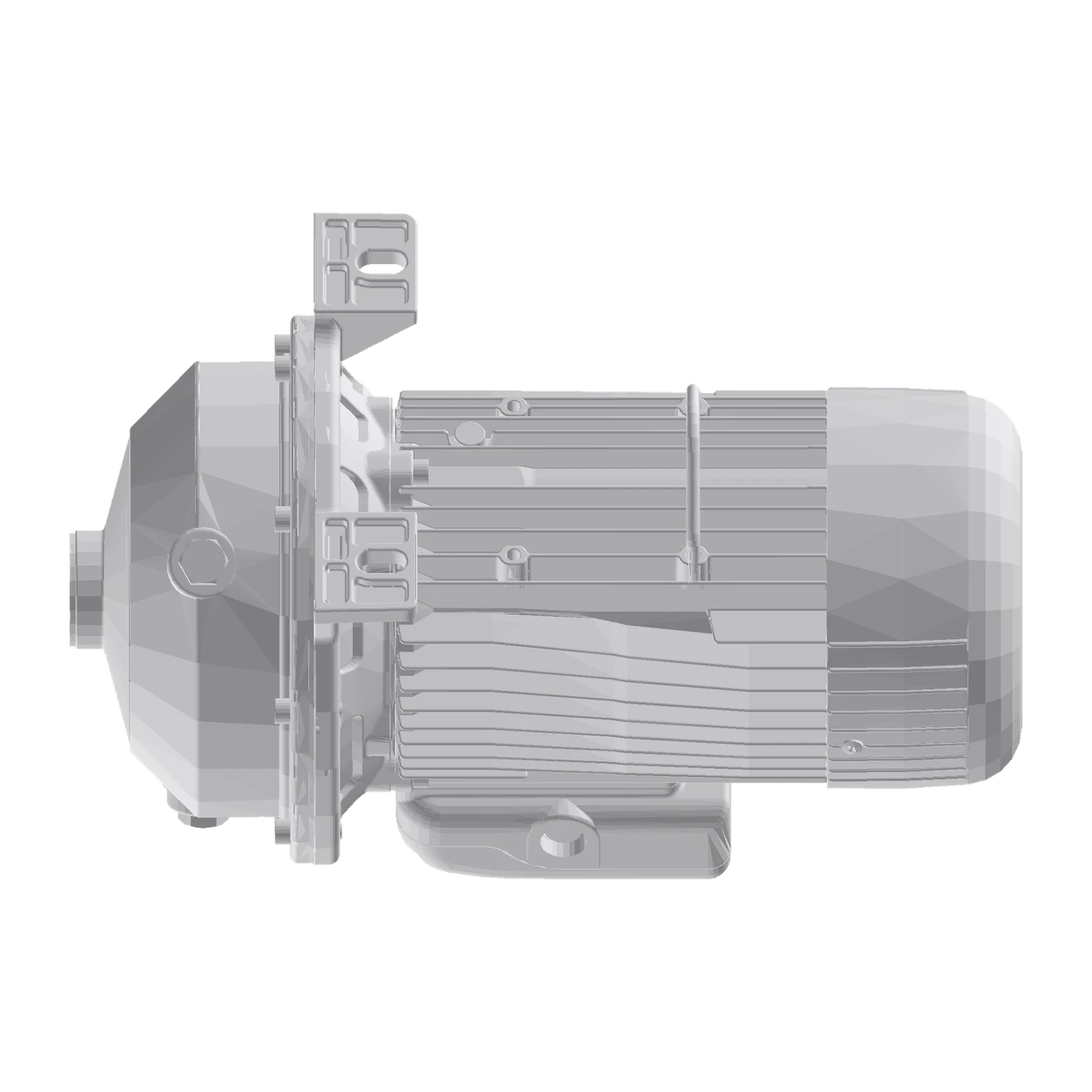 LOWARA CEAM 80/5/C AISI304 Yatay Monoblok Santrifüj Pompa