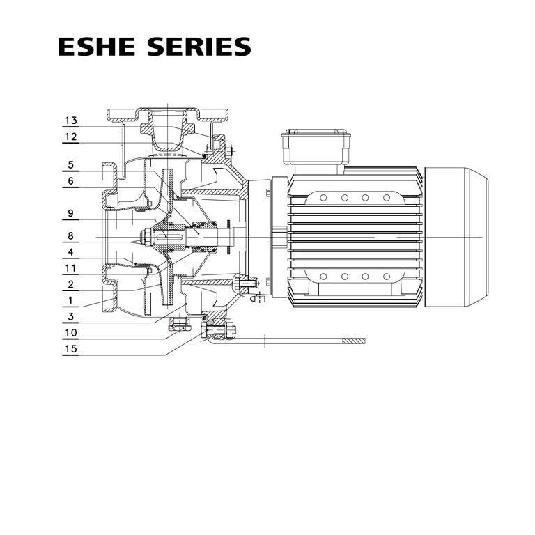 LOWARA ESHE 32-200/30/P25RSSA 3 kW AISI316L GÖVDELİ UZATILMIŞ MİLLİ YATAY SANTRİFÜJ POMPA