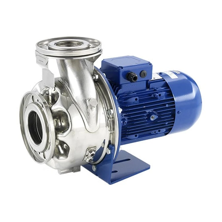 LOWARA ESHE 40-160/30/P25RSSA 3 kW AISI316L Yakın Kaplinli Uzatılmış Milli Yatay Santrifüj Pompa