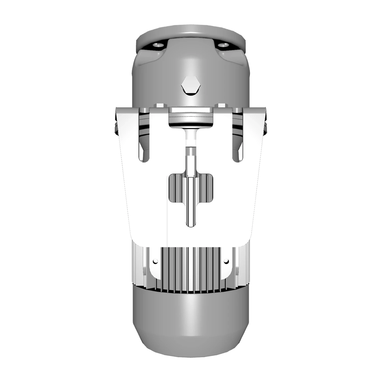 LOWARA ESHE 40-160/40/P25RSSA AISI316L Yatay Monoblok Santrifüj Pompa