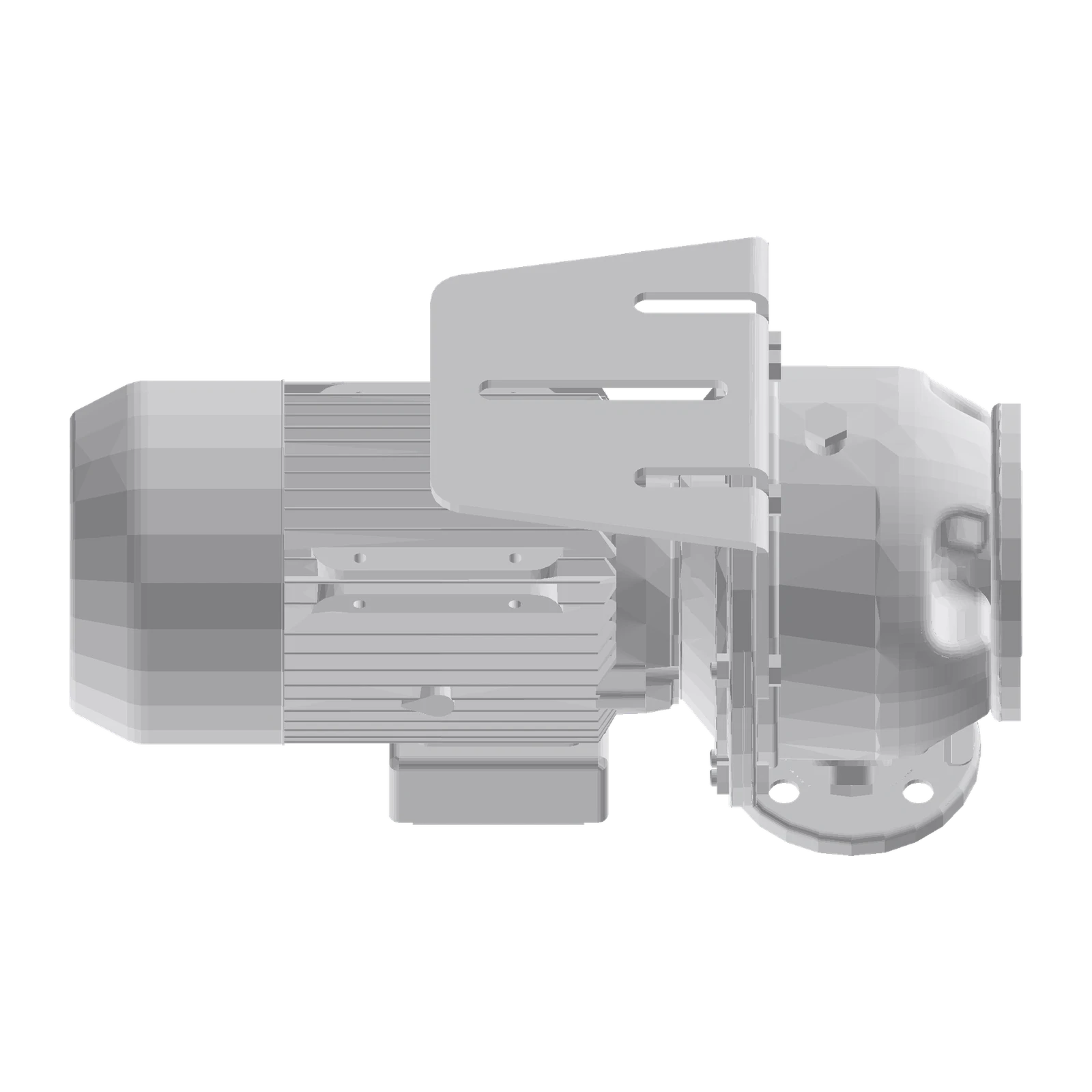 LOWARA ESHE 40-200/55/P25VSSA AISI316L Yatay Monoblok Santrifüj Pompa