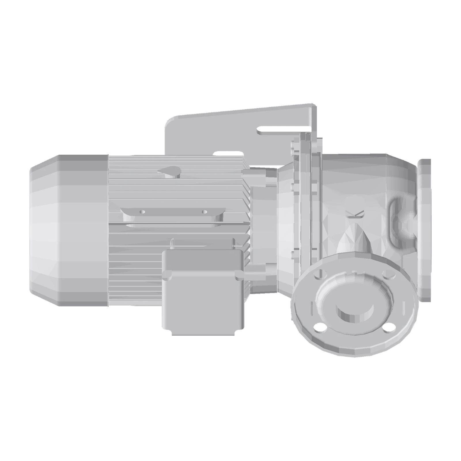 LOWARA ESHE 50-125/40/P25VSSA 4 kW AISI316L Yakın Kaplinli Uzatılmış Milli Yatay Santrifüj Pompa