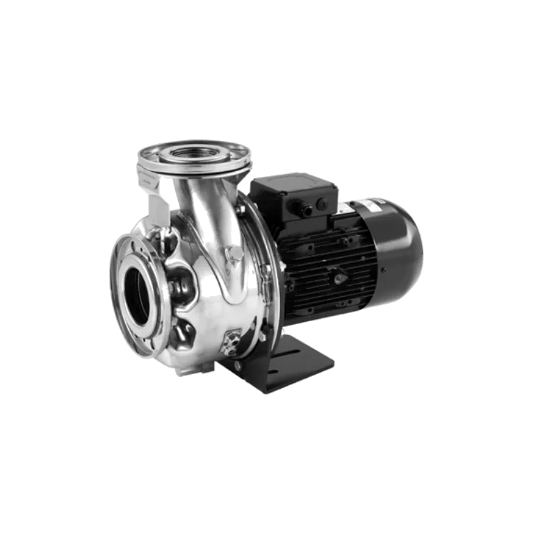 LOWARA ESHE 50-160/55/P25VSSA AISI316L YATAY MONOBLOK SANTRİFÜJ POMPA