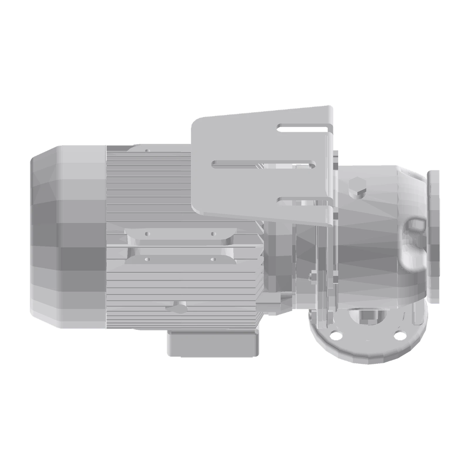 LOWARA ESHE 50-160/75/P25VSSA AISI316L Yatay Monoblok Santrifüj Pompa