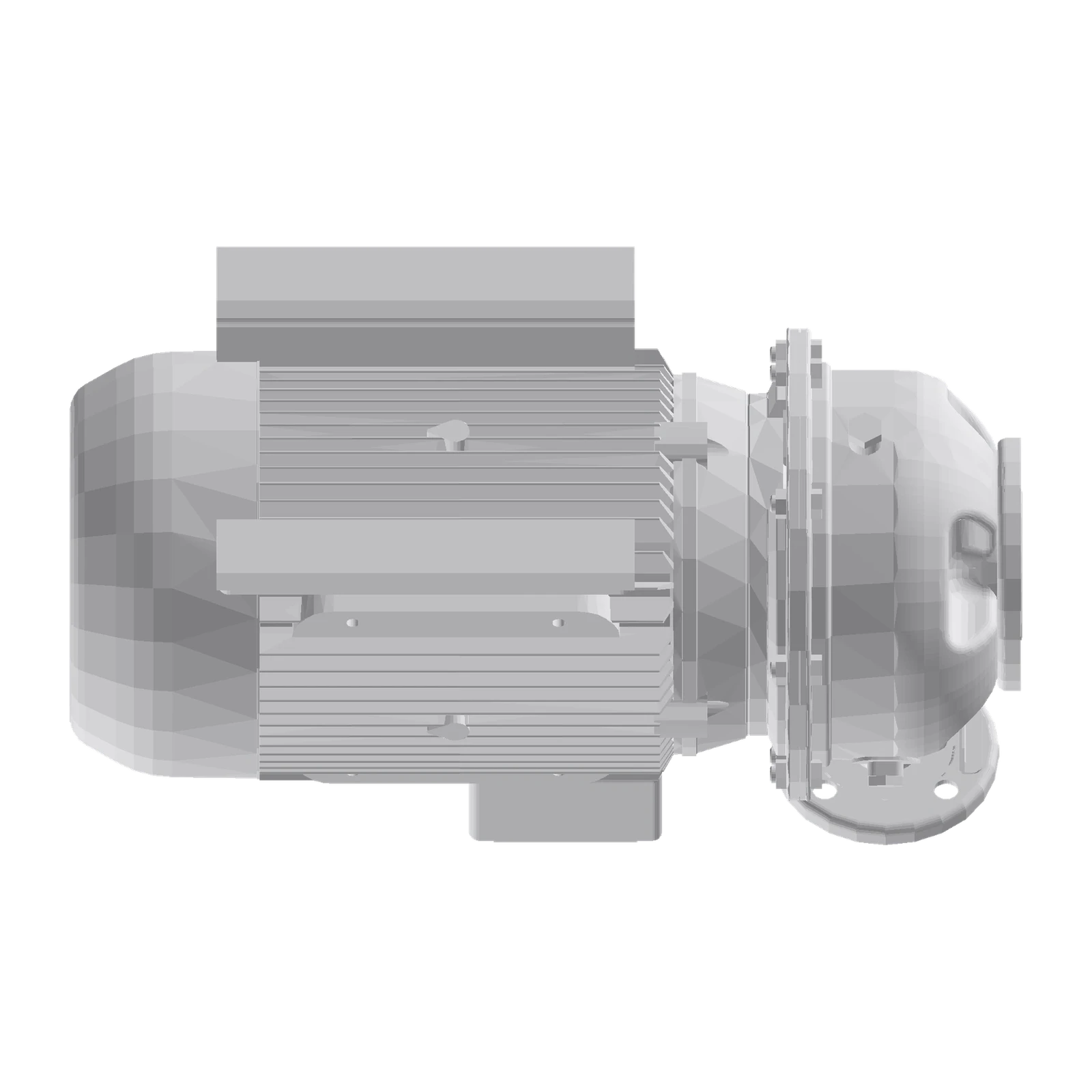 LOWARA ESHE 50-250/150/P25VSSA 15 kW AISI316L Gövdeli ve Çarklı Uzatılmış Milli Yatay Santrifüj Pompa