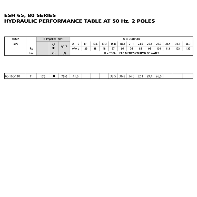LOWARA ESHE 65-160/110/P25VSNA 11 kW AISI316L GÖVDELİ UZATILMIŞ MİLLİ YATAY SANTRİFÜJ POMPA