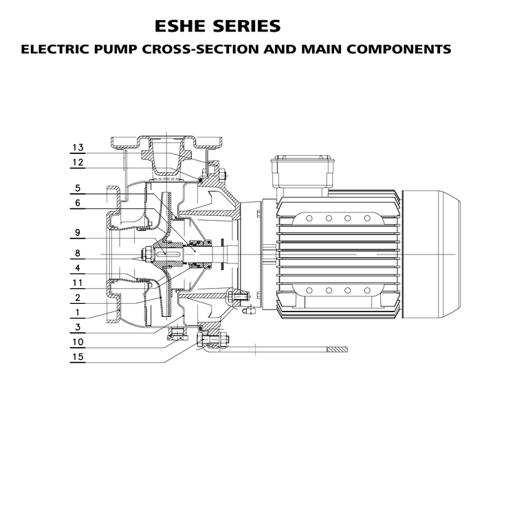 LOWARA ESHE 65-160/92/P25VSNA 9,2 kW AISI316L GÖVDELİ UZATILMIŞ MİLLİ YATAY SANTRİFÜJ POMPA