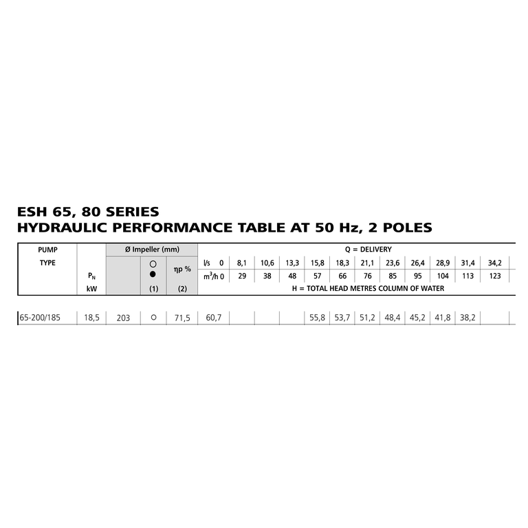LOWARA ESHE 65-200/185/P25VSNA 18,5 kW AISI316L GÖVDELİ UZATILMIŞ MİLLİ YATAY SANTRİFÜJ POMPA