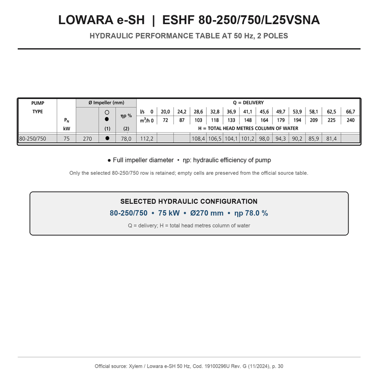 LOWARA ESHF 80-250/750/L25VSNA 75 kW AISI316L GÖVDELİ ŞASE ÜSTÜ ESNEK KAPLİNLİ YATAY SANTRİFÜJ POMPA