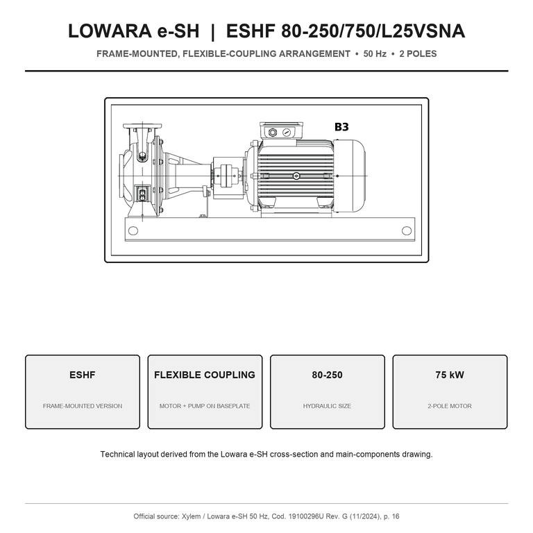 LOWARA ESHF 80-250/750/L25VSNA 75 kW AISI316L GÖVDELİ ŞASE ÜSTÜ ESNEK KAPLİNLİ YATAY SANTRİFÜJ POMPA