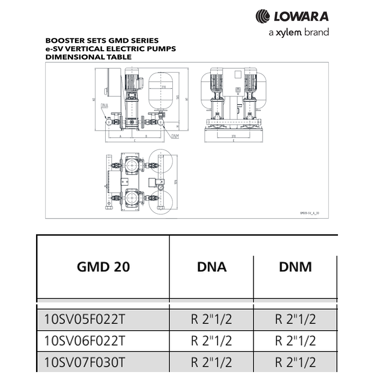 LOWARA GMD20 SERİSİ 2 × 10SV06F022T SABİT DEVİRLİ HİDROFOR