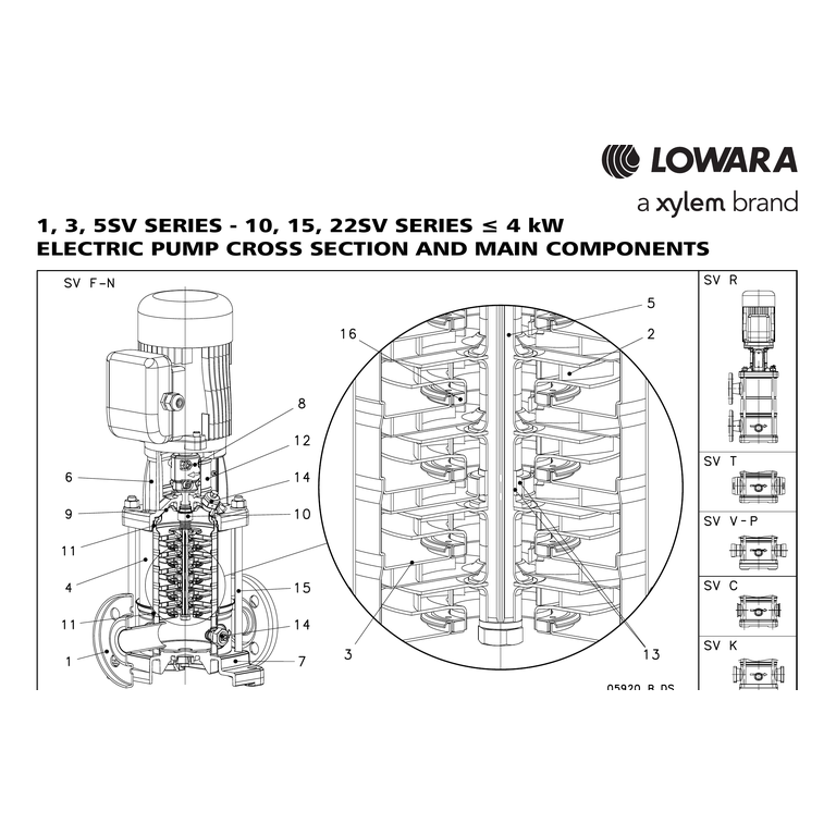 LOWARA GVF21TR-10SV06F022/P/LDS Basınçlandırma Seti