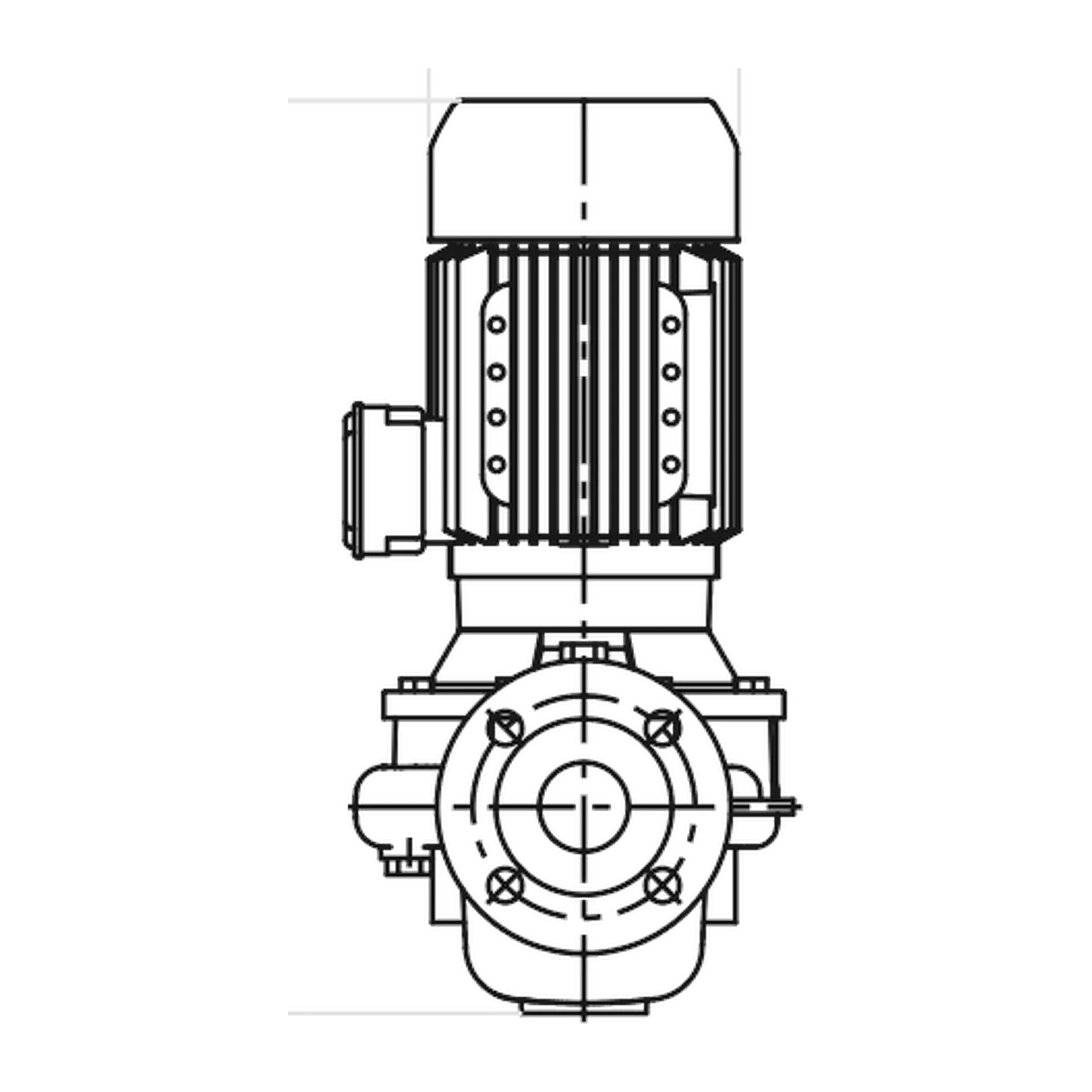LOWARA LNEE 50-125/30/P25RCS4 3 kW İki Kutuplu İn-line Sirkülasyon Pompası