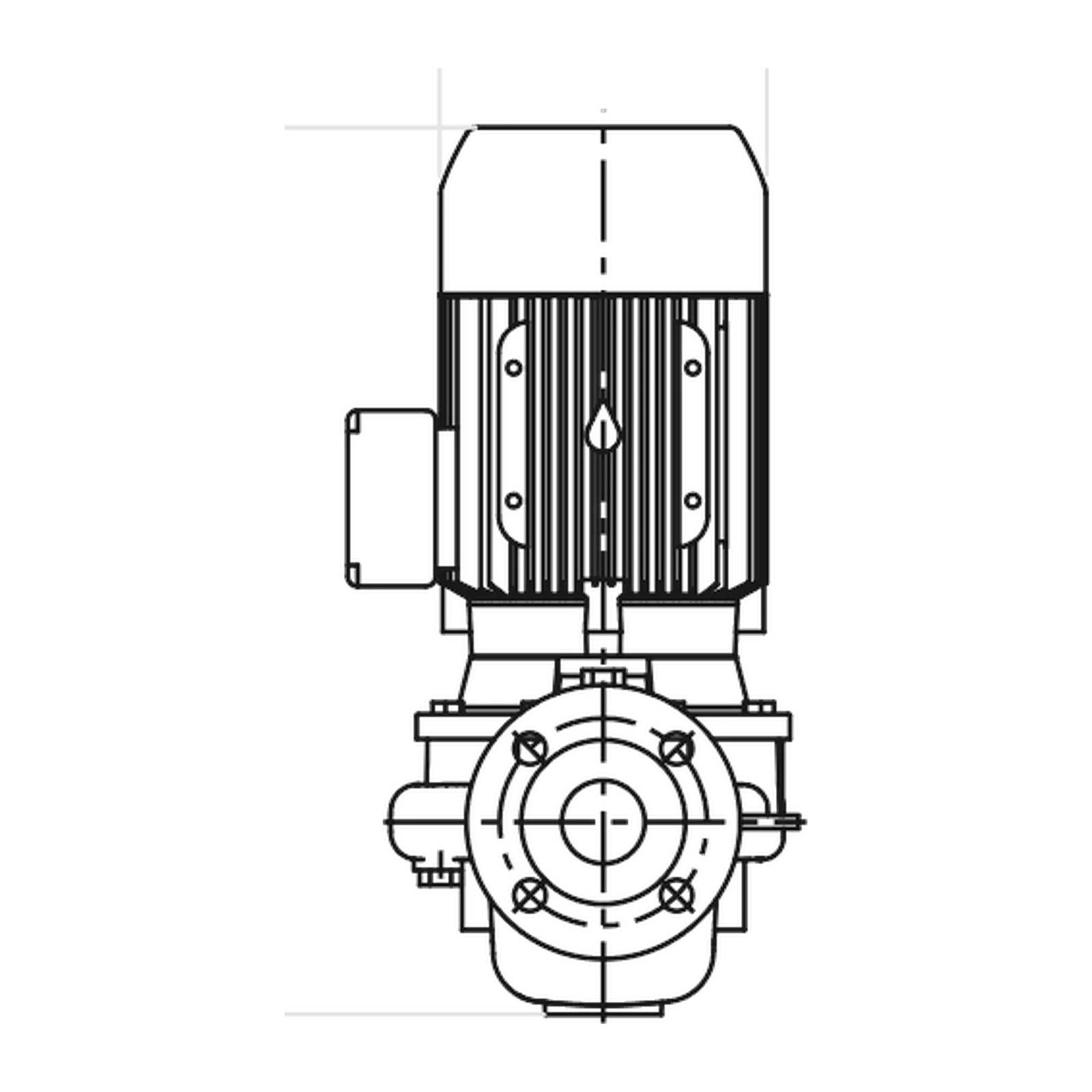 LOWARA LNEE 50-125/40/P25VCS4 4 kW İki Kutuplu İn-line Sirkülasyon Pompası