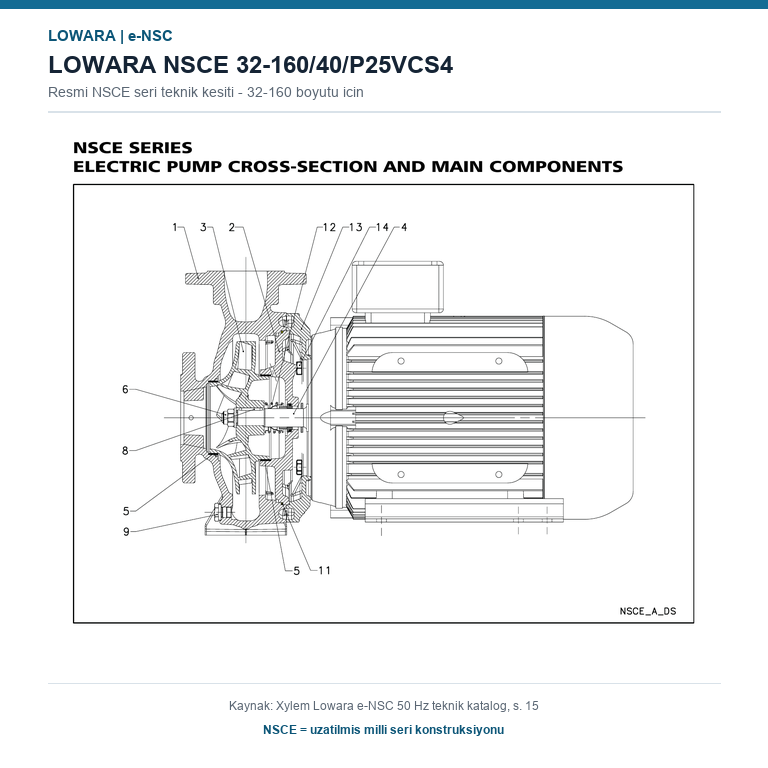 LOWARA NSCE 32-160/40/P25VCS4 4 kW DÖKÜM GÖVDELİ AISI304 ÇARKLI UZATILMIŞ MİLLİ YATAY SANTRİFÜJ POMPA