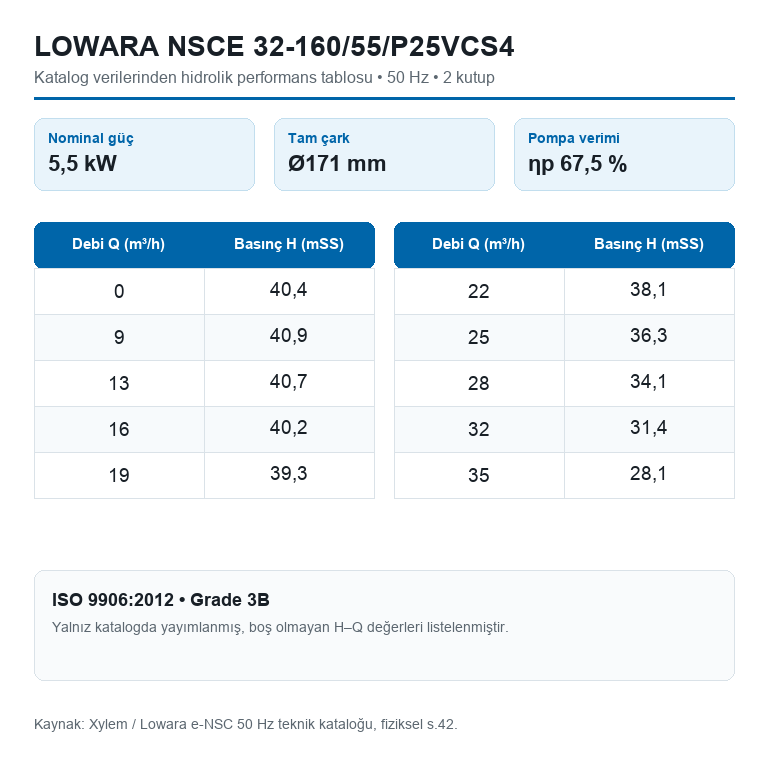 LOWARA NSCE 32-160/55/P25VCS4 5,5 kW DÖKÜM GÖVDELİ AISI304 ÇARKLI UZATILMIŞ MİLLİ YATAY SANTRİFÜJ POMPA