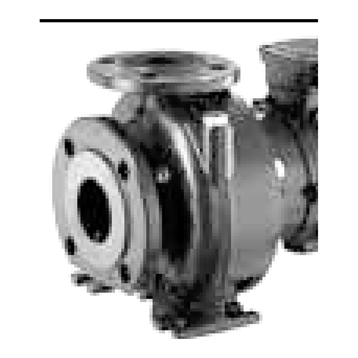 LOWARA NSCE 40-160/55/P25VCS4 DÖKÜM GÖVDELİ YATAY MONOBLOK SANTRİFÜJ POMPA