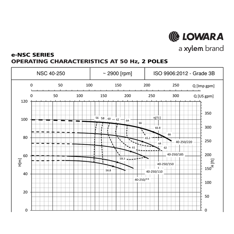 LOWARA NSCE 40-250/110/P25VCS4 Döküm Gövdeli Paslanmaz Çarklı Uzatılmış Milli Yatay Santrifüj Pompa