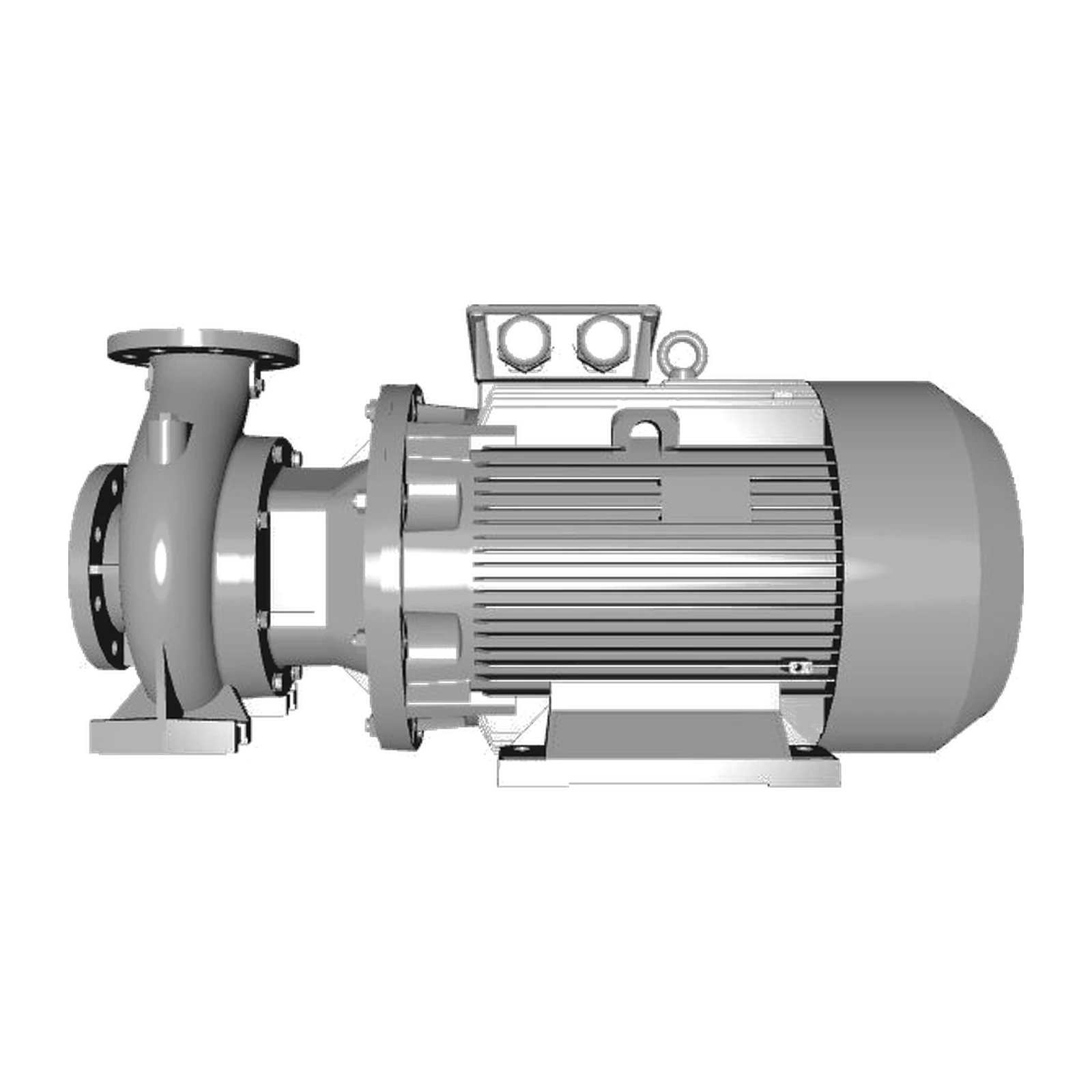 LOWARA NSCS 100-200/450/L25VCC4 45 kW İki Kutuplu Döküm Gövdeli Rijit Kaplinli Santrifüj Pompa