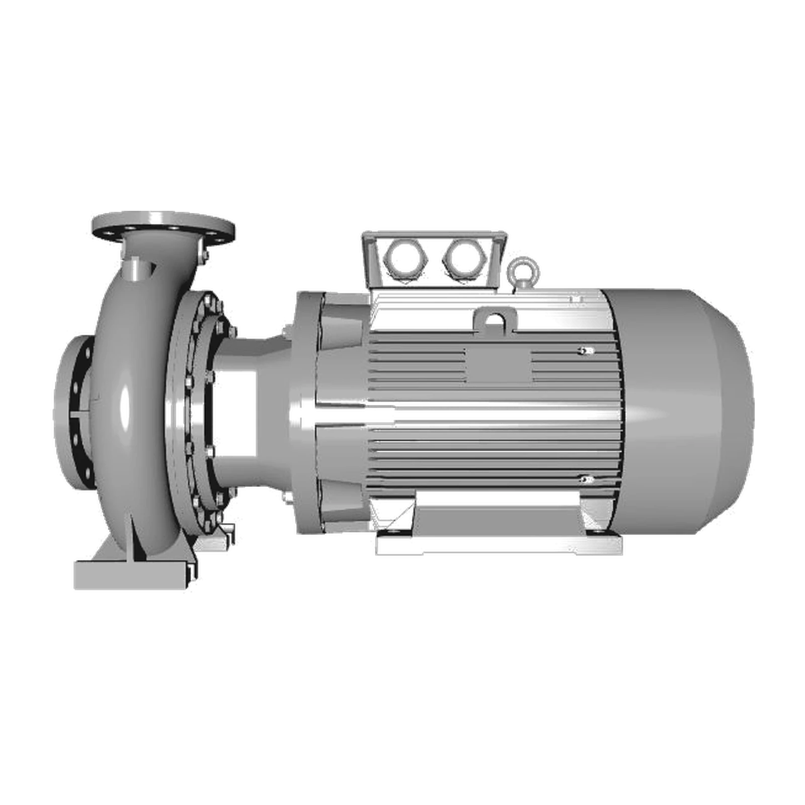 LOWARA NSCS 100-315/300/L45VCC4 30 kW Dört Kutuplu Döküm Gövdeli Rijit Kaplinli Santrifüj Pompa