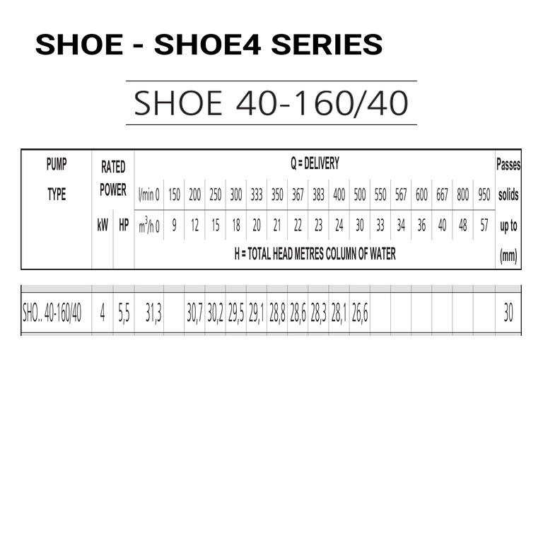 LOWARA SHOE 40-160/40/D 4 kW AISI316L GÖVDELİ AÇIK ÇARKLI YATAY MONOBLOK SANTRİFÜJ POMPA