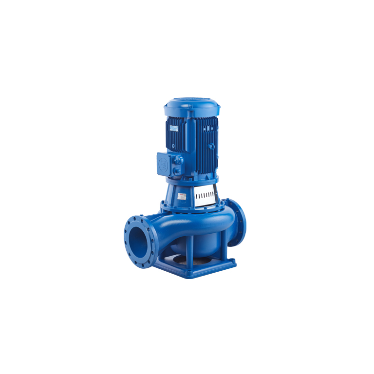 STANDART ECO SNL 125-315 30 kW 1450 d/d Monoblok İn-line Santrifüj Pompa
