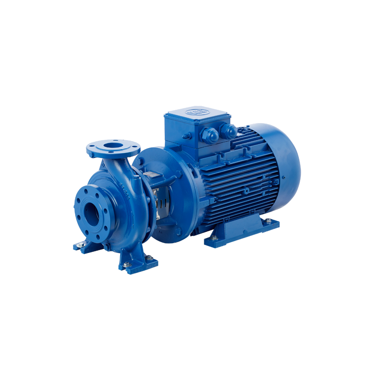 STANDART ECO SNM 100/200 45 kW DÖKÜM GÖVDELİ YATAY RİJİT KAPLİNLİ SANTRİFÜJ POMPA