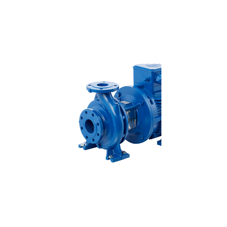 STANDART ECO SNM 100/200 45 kW DÖKÜM GÖVDELİ YATAY RİJİT KAPLİNLİ SANTRİFÜJ POMPA