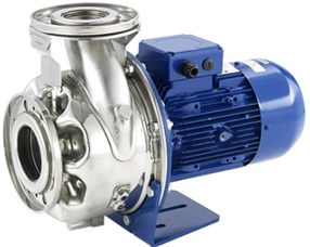 LOWARA ESHS 80-200/370/L25VSNA AISI316L YATAY RİJİT KAPLİNLİ SANTRİFÜJ POMPA