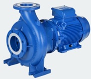 GRUNDFOS NB 125-315/317 AASF2AESDAQFRW3 DÖKÜM GÖVDELİ RİJİT KAPLİNLİ YATAY SANTRİFÜJ POMPA