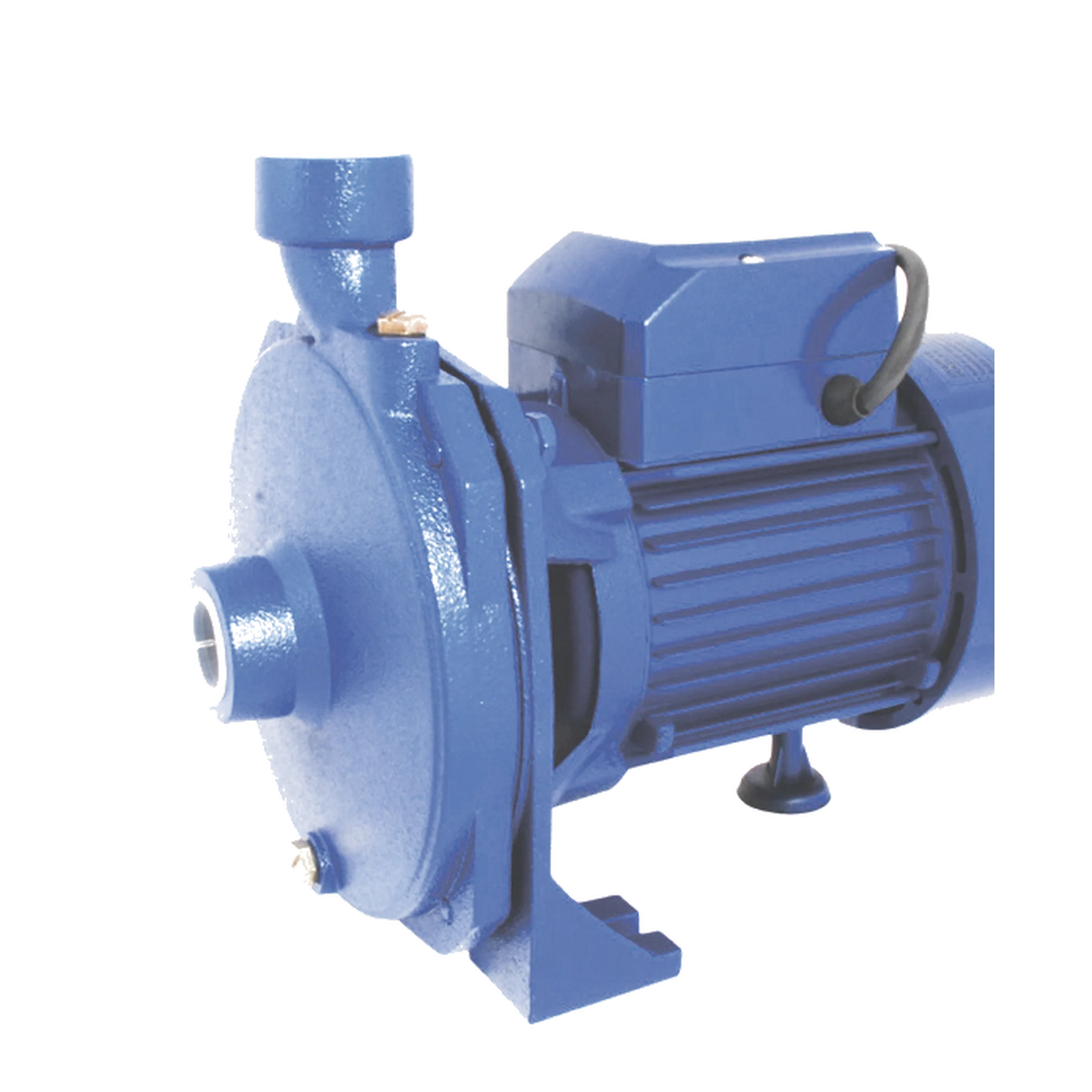 WS-08 DÖKÜM GÖVDELİ TEK KADEMELİ SATRİFÜJ POMPA