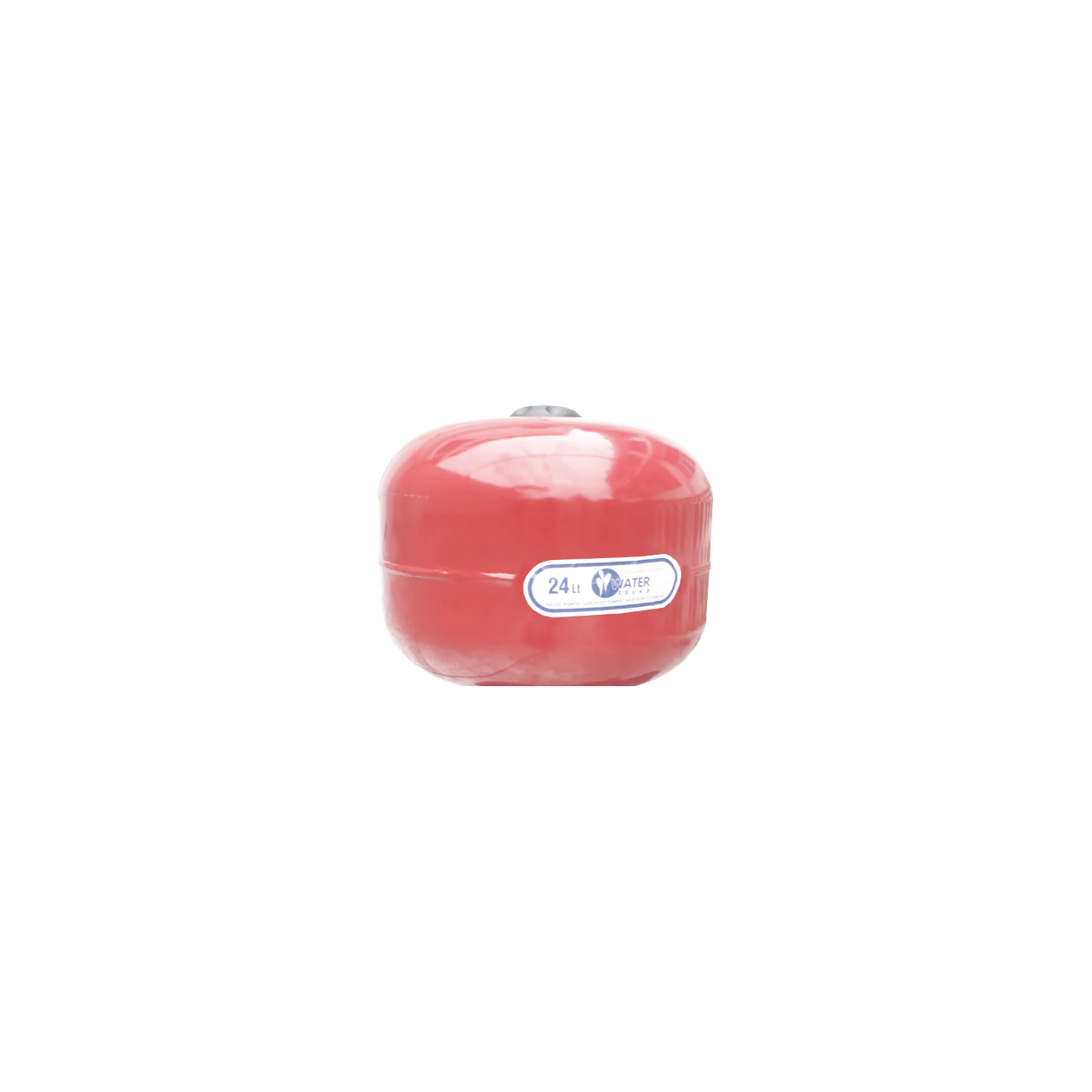 WS-401 24 LT TANKLI DÖKÜM GÖVDELİ PERİFERİK PAKET HİDROFOR